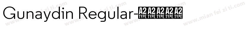 Gunaydin Regular字体转换